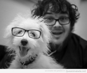 foto-graciosa-perro-parecido-dueño-gafas