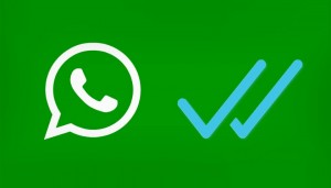 WhatsApp-doble-palomita-azul