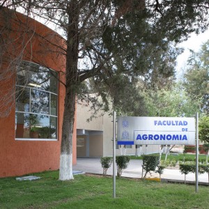 Agronomia19