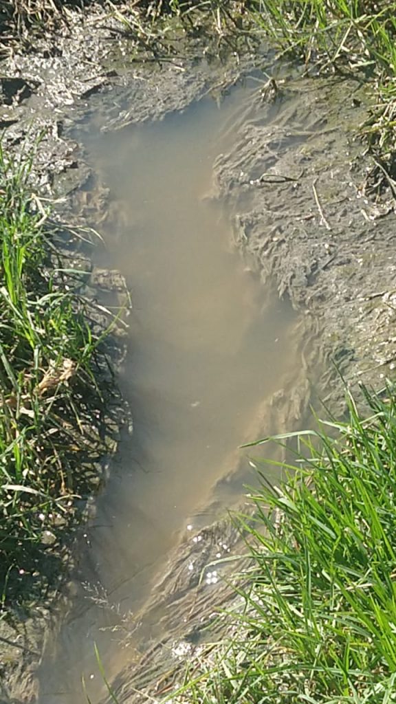 Fraccionamiento Los Pilares Descarga Aguas Negras Al Aire Libre En La