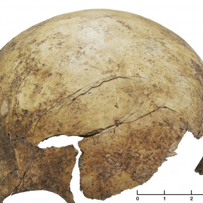  Encuentran evidencias de masacre prehistórica