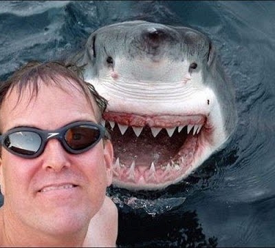  Mueren más personas por selfies que por ataques de tiburón