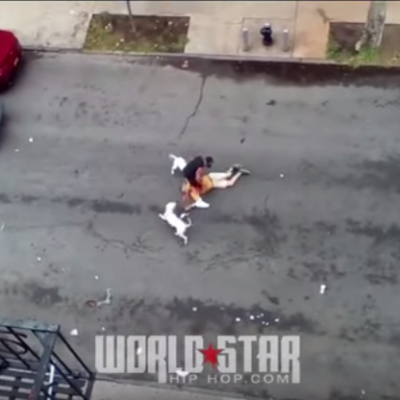  #Video #Advertencia Aterrador ataque de pitbulls a hombre