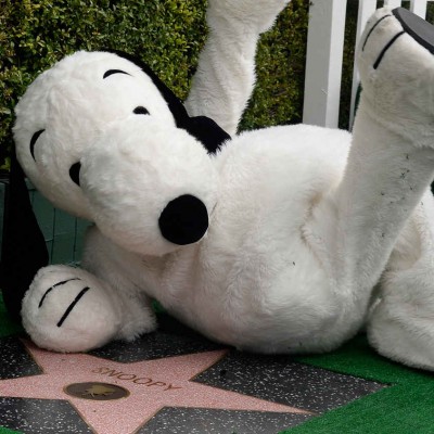  ‘Snoopy’ ya tiene estrella en el Paseo de la Fama de Hollywood