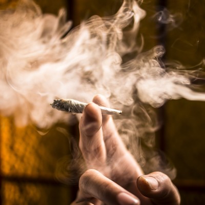  Cofepris emite primeros permisos para uso lúdico de la marihuana