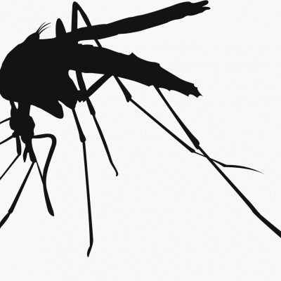  El virus Zika se extiende en Brasil