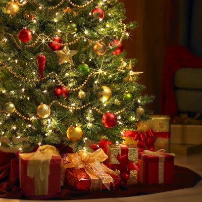  Datos curiosos que debes saber sobre el Árbol de Navidad
