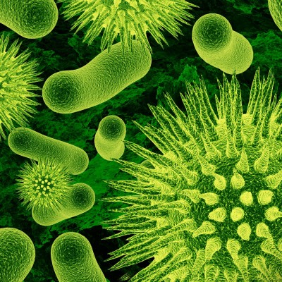  Superbacterias: una pesadilla que llegó para quedarse