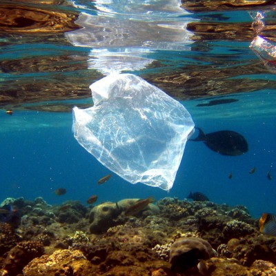  En 2050 habrá más plástico que peces en los mares