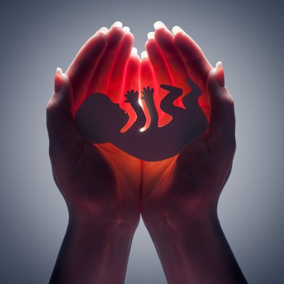  Posible el aborto en caso de violación sexual: Arquidiócesis de SLP