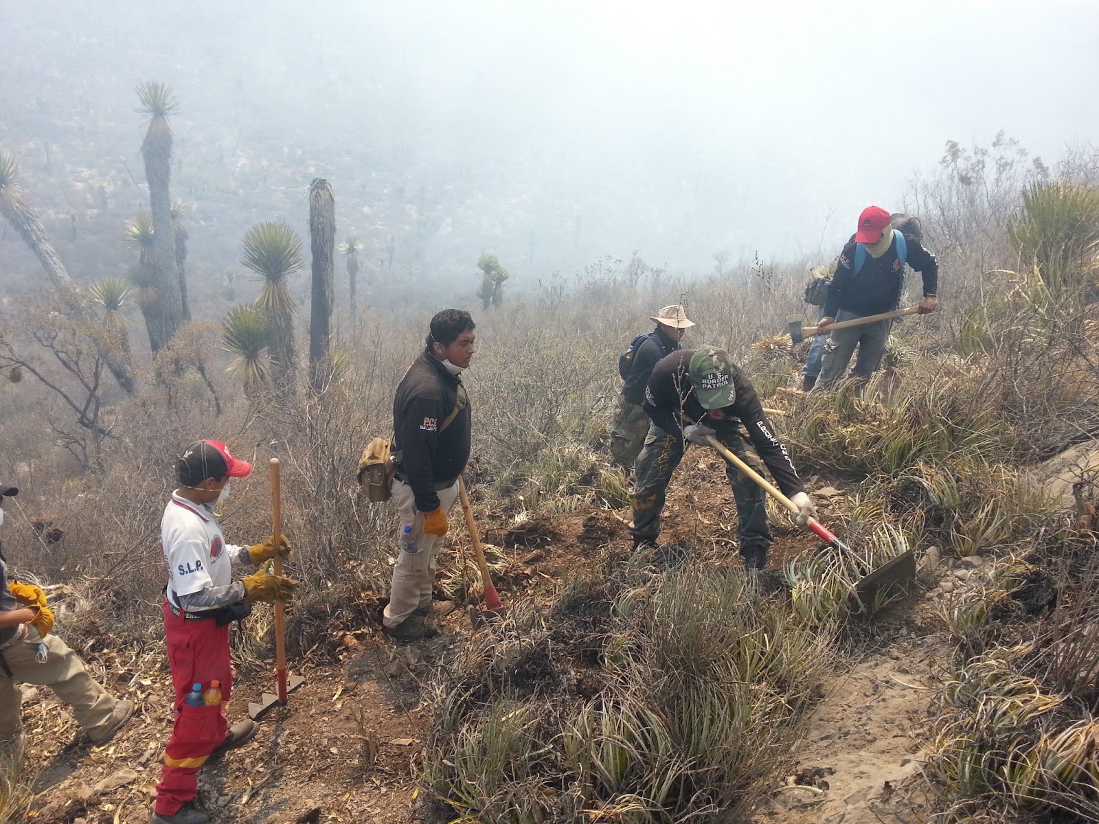  Grupo opositor a la alcaldía de Mexquitic, responsable de último incendio forestal