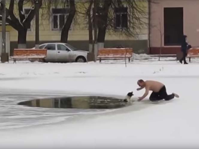  (Video) La arriesgada acción de un hombre en Rusia para salvar a un perro