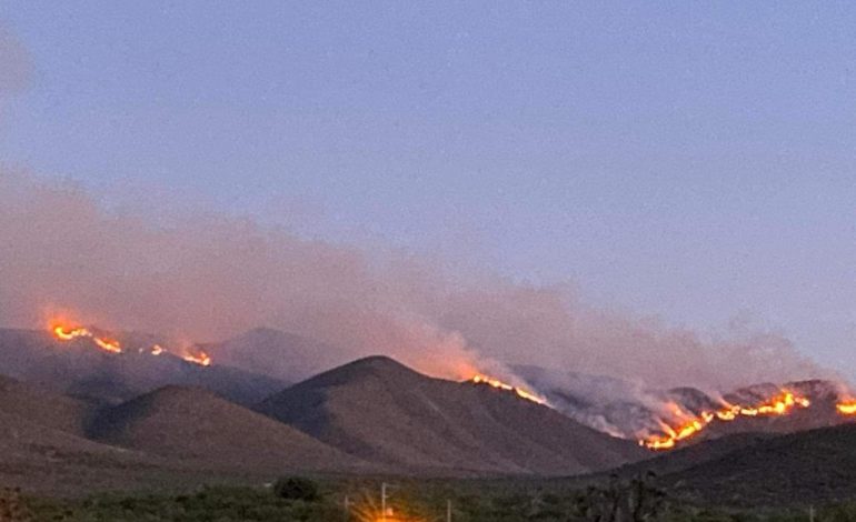  Incendio de 169 hectáreas consume comunidades del Altiplano potosino