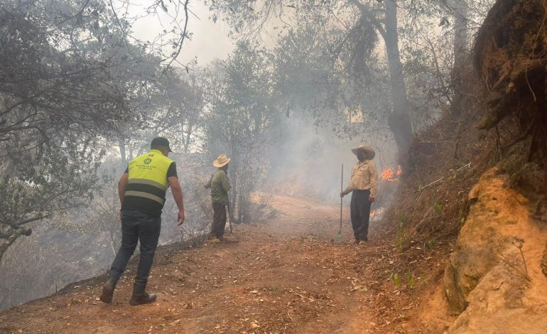  Habitantes de Santa María del Río piden ayuda contra incendio forestal