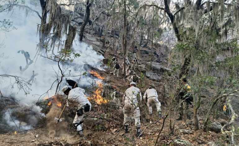  32 incendios forestales acumularon 6 mil 740 ha. de superficie siniestrada en SLP: Conafor