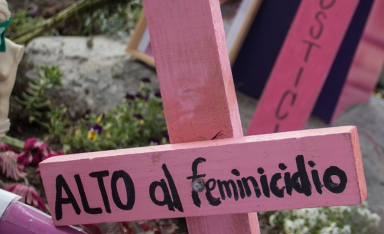  Feminicidio en Villa de Pozos resalta la necesidad de estudiar nuevos métodos criminales