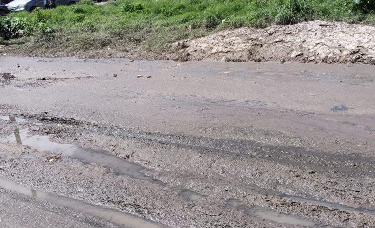  Entre lodo y animales muertos, la colonia Pedroza fue olvidada por el Ayuntamiento de SLP