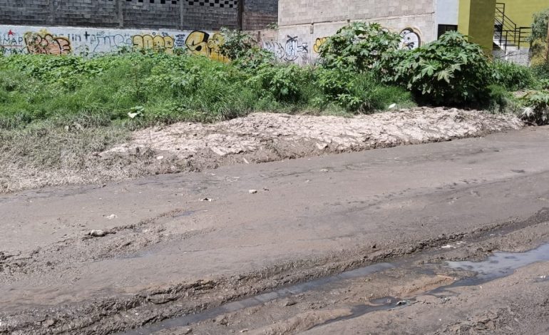  Ante omisión de autoridades, ciudadanos pagan por retiro lodo, desechos y animales muertos