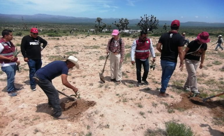  Realizan con éxito 3er jornada de reforestación en la Sierra de San Miguelito