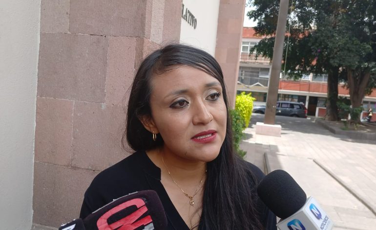  En Villa de Pozos “todo falta”, afirma concejala presidenta