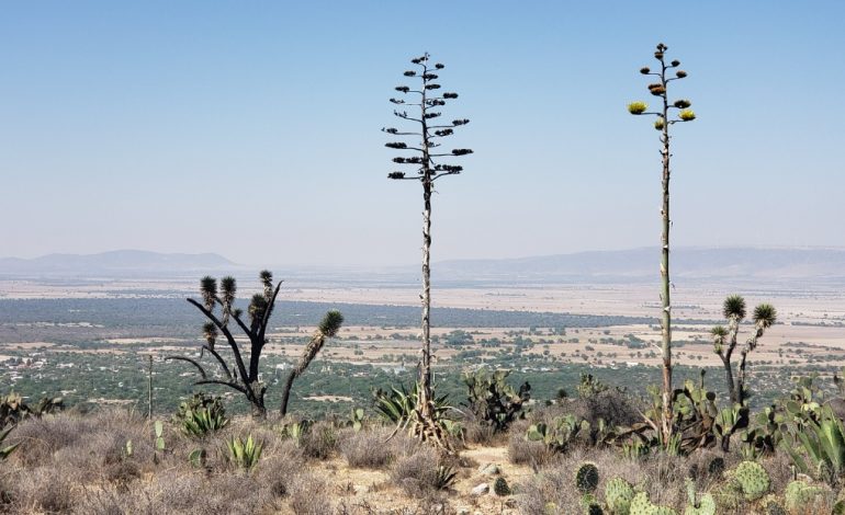  Alertan sobre falso ambientalismo empresarial y académico en la Sierra de San Miguelito