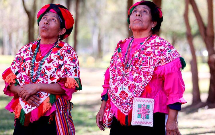  Prevalecen el clasismo y racismo en la legislación indígena en SLP: OIM