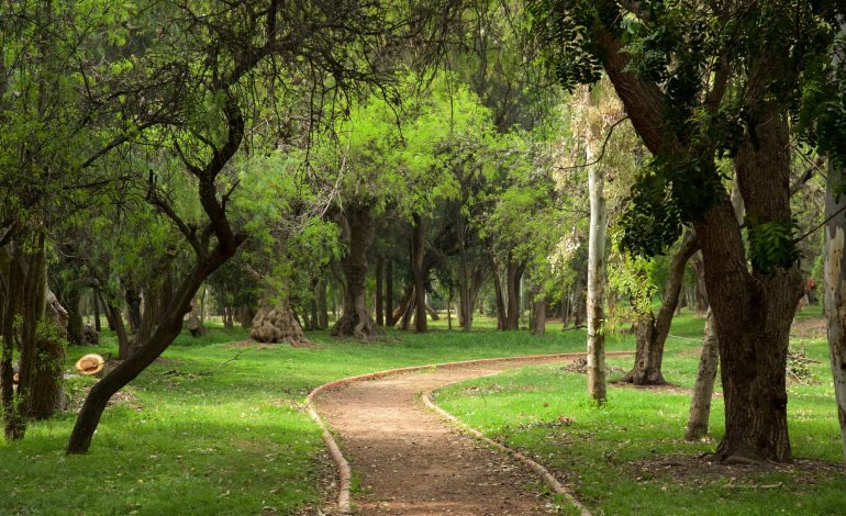  Gobierno de SLP invertirá 16 mdp en la rehabilitación del Parque Tangamanga I