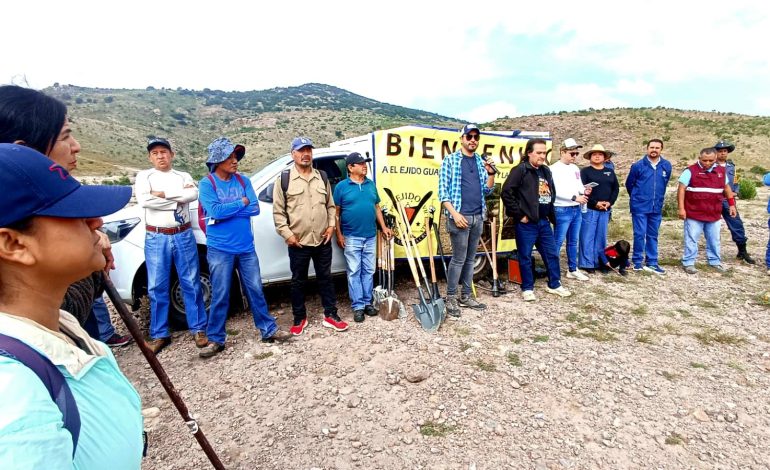  Reforestación en la Sierra de San Miguelito, fundamental para la recarga del acuífero: Consejo Hídrico