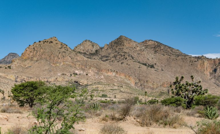  La Sierra de San Miguelito no se va a tocar: Gallardo