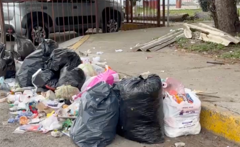  Aumentan “montoneras” de basura en la capital de SLP