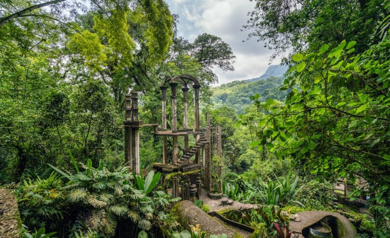  Sembrando Vida realiza acciones de conservación de la biodiversidad en cafetales de Xilitla