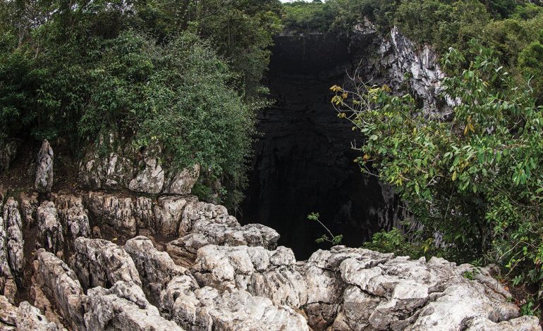  Avanza investigación en la FGR por ecocidio en el Sótano de las Golondrinas